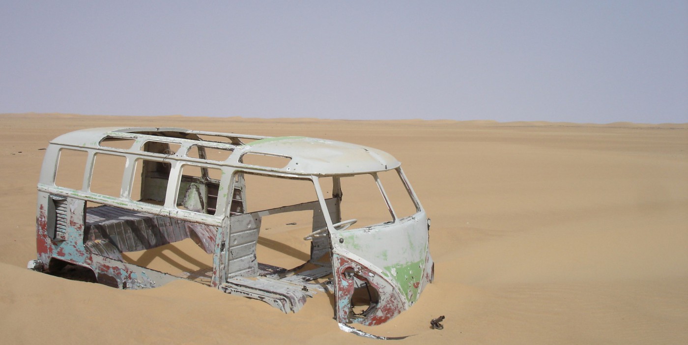 Beetle in de Sahara